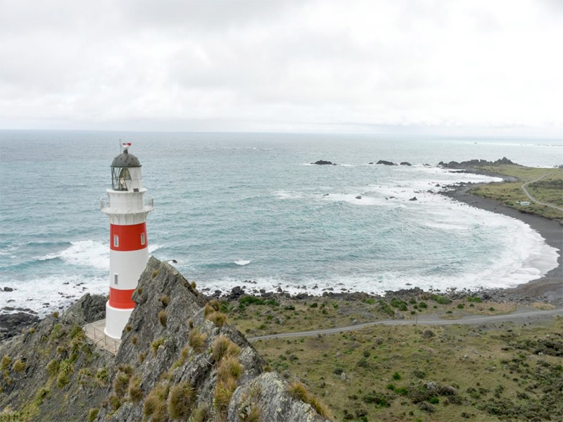 Place to Visit in Cape Palliser, New Zealand