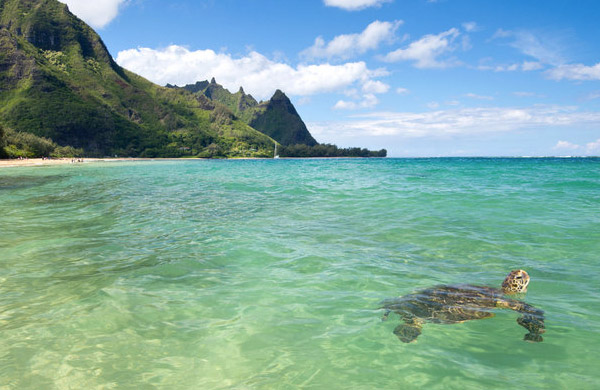 10 Best Places to Visit in Hawaii – A Perfect Holiday Destination