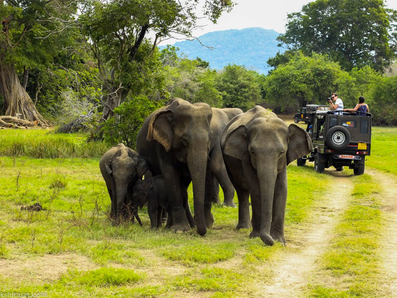 Periyar National Park, Thekkady