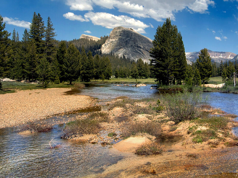 Tuolumne Meadows Yosemite National Park