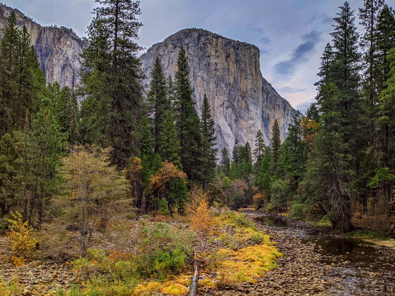 Winter vibes along the Valley Loop Trail at Yosemite National Park, California 